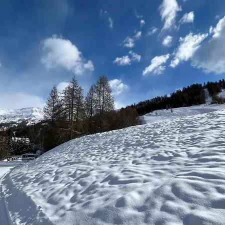 Le Super Refuge De L'ecureuil *