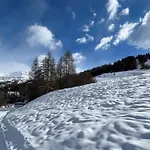 Le Super Refuge De L'ecureuil *
