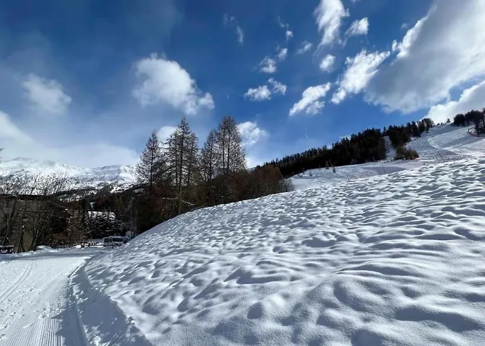 Le Super Refuge De L'ecureuil *
